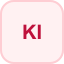 KG이니시스 logo